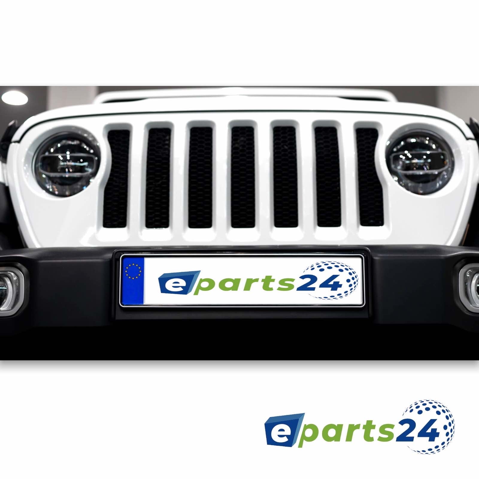 2 EU KFZ Kennzeichen / Autoschilder 520 X 110 mm inklusive einer  Fahrzeugscheinhülle : : Auto & Motorrad